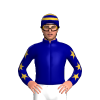 Navy Blue, Gold Stars Sleeves, Hooped Cap