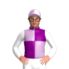 Purple And Lilac Quarters, White Sleeves, Quartered Cap