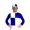 White, Navy Quarters And Sleeves, Quartered Cap
