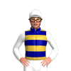 Navy Blue And Gold Hoops, White Sleeves And Cap