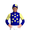 Navy Blue, Pale Yellow Spots, Halved Sleeves, Quartered Cap