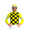 YELLOW,BLACK CHECKS,YELLOW SLEEVES,LIGHT BLUE ARMBANDS,YELLOW CAP,LIGHT BLUE CHECKS,WHITE PEAK