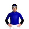 DARK BLUE ,BLACK SLEEVES, DARK BLUE HALVED,BLACK CAP, DARK BLUE DISC,WHITE PEAK