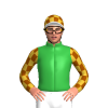 GREEN, GOLD, BROWN CHECKS SLEEVES, CHECKS CAP, WHITE PEAK
