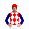 Red, White Diamonds, Dark Blue Sleeves