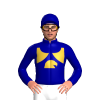 Dark Blue, Gold Eagles Insignia, Dark Blue Cap
