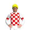 WHITE, RED CHECKS, WHITE SLEEVES, RED ARMBANDS, Yellow cap
