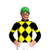 BLACK, YELLOW DIAMOND CHECKS, BLACK SLEEVES, YELLOW ARMBANDS, Green cap