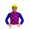 RED, MEDIUM BLUE CHECKS, MEDIUM BLUE SLEEVES, Yellow cap