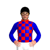 RED, MEDIUM BLUE CHECKS, MEDIUM BLUE SLEEVES, Black cap