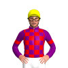 PURPLE, RED CHECKS, PURPLE SLEEVES, RED ARMBANDS, Yellow cap