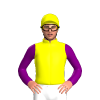 YELLOW, PURPLE FIVE STARS, SLEEVES, Yellow cap