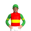 RED,YELLOW DOUBLE BAND,GREEN SLEEVES,YELLOW DOUBLE ARMBAND, Green cap