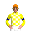 YELLOW, WHITE CHECKS, YELLOW SLEEVES, NAVY ARMBAND, Orange cap
