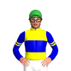 YELLOW, MEDIUM BLUE BAND, MEDIUM BLUE SLEEVES ,YELLOW DOUBLE ARMBANDS, Green cap