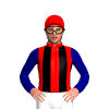RED,BLACK STRIPES,NAVY BLUE SLEEVES, Red cap