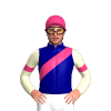 Jockey Silk