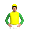 Jockey Silk