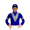 Jockey Silk