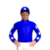 Jockey Silk