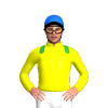 Jockey Silk