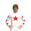 Jockey Silk