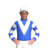 Jockey Silk