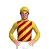 Jockey Silk