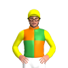 Jockey Silk