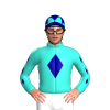 Jockey Silk