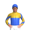 Jockey Silk