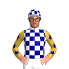 Jockey Silk