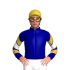 Jockey Silk