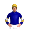 Jockey Silk