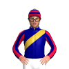 Jockey Silk