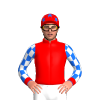 Jockey Silk