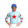 Jockey Silk