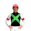 Jockey Silk