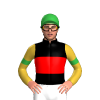 Jockey Silk