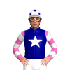 Jockey Silk