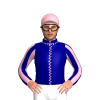 Jockey Silk