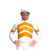 Jockey Silk