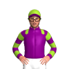 Jockey Silk