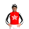 Jockey Silk