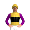 Jockey Silk