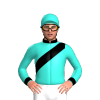 Jockey Silk