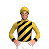 Jockey Silk