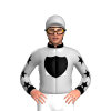 Jockey Silk