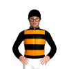 Jockey Silk