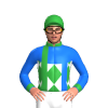 Jockey Silk